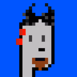 4949
