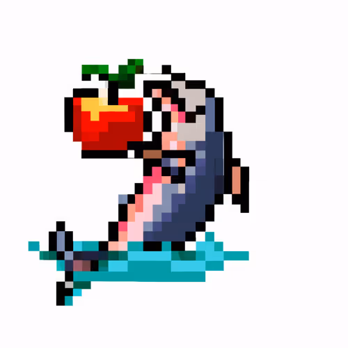 Flying High Dolphins