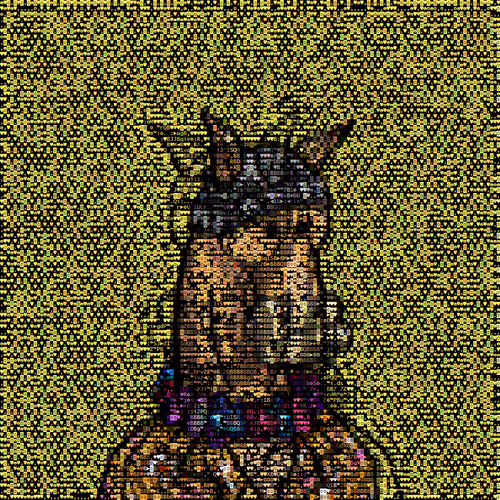 Horse Invisible