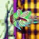 Flying Insects