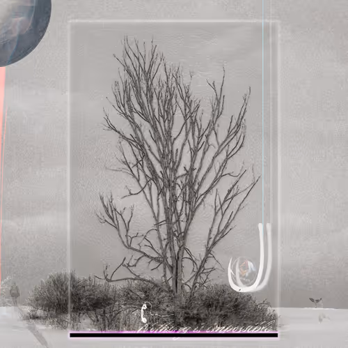 Item #3 Media
