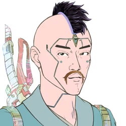 5223