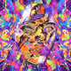 Beautifully distorted