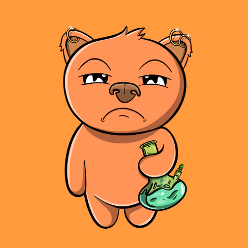 Bear #243