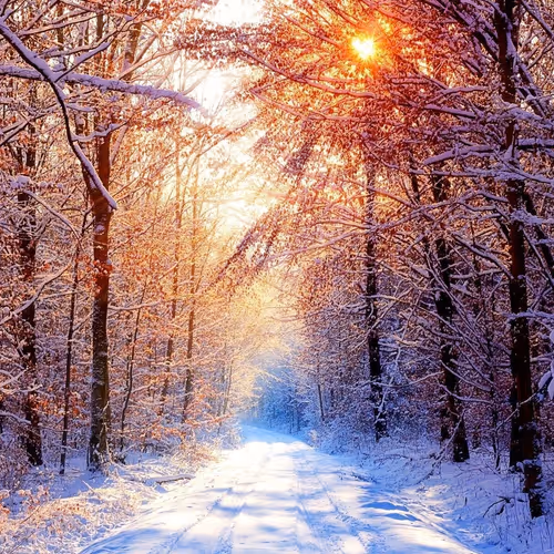 Winter 147