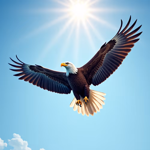 Freedom’s Apex