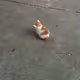 smol