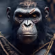 ApedRBased