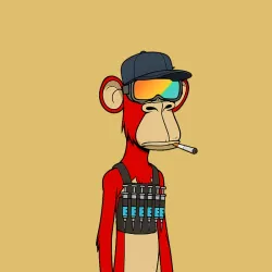 536
