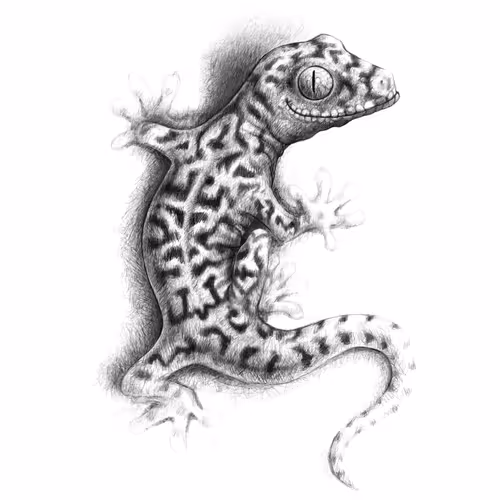 Wildlife In Ink