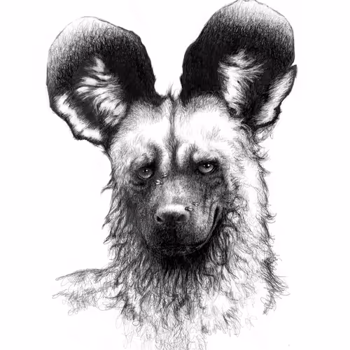 Wildlife In Ink