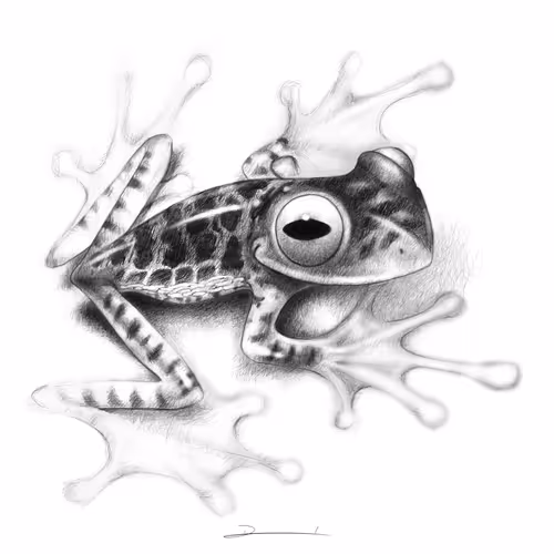 Wildlife In Ink