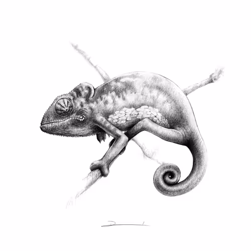 Wildlife In Ink