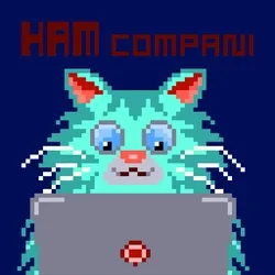 KOLLECTOR X HAM X @LATIF
