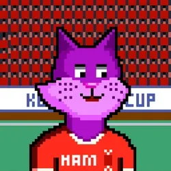 kollector cup