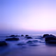 Summer Serenity