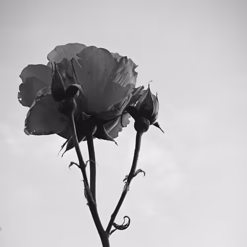 Touch The Sky 4