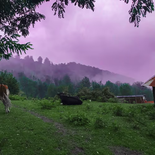 Masal 2018