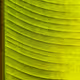164