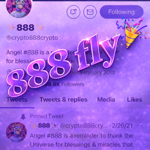 888 Fly [LIMITED EDITION]