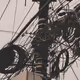 Rodeo posts