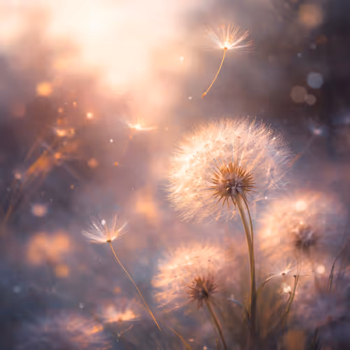 A Private Language of Feeling