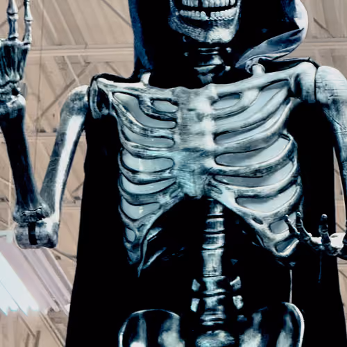 SKELETON