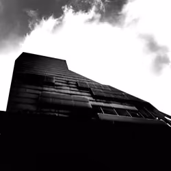 THE DARK STRUCTURE