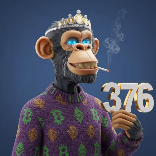 Item #376 Media