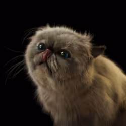 PopCat #2