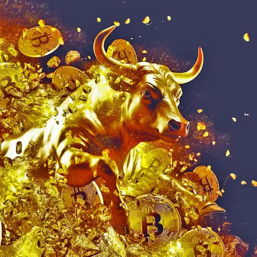 BullRun #3