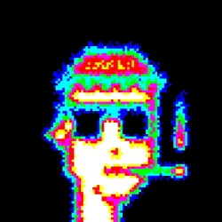 1293