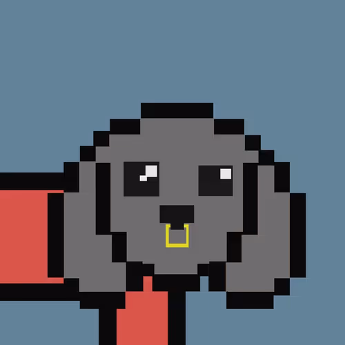 Pdogs 1