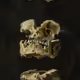 82
