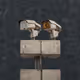 36