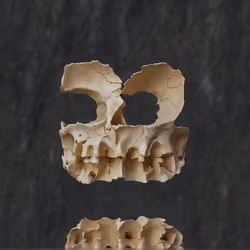AI-PEPEN 54