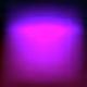 Violet Vector A