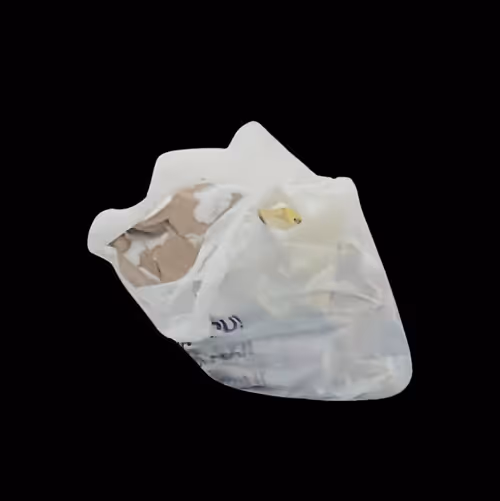 Item #30 Media