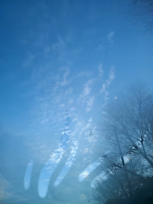 Item #22 Media