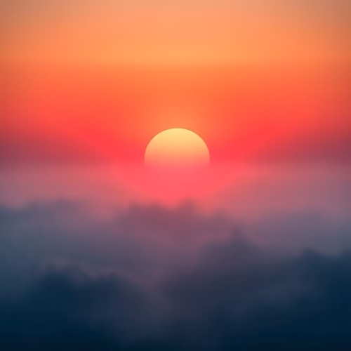238