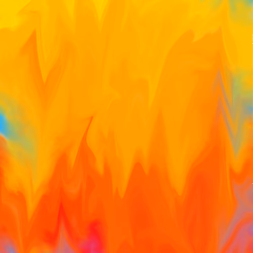 244