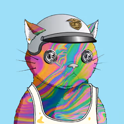 Kitaro Yacht Club #5063