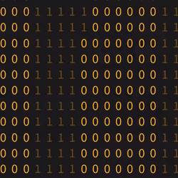 01011000 #45