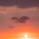 117