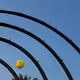 Rodeo posts
