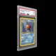 81