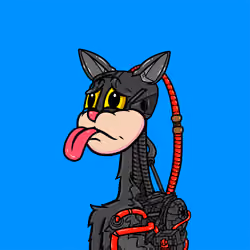 ZeCat #765
