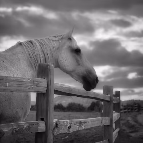 Quiet Moment #511