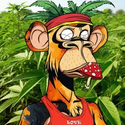 HIPPIE APES DELUXE #3211