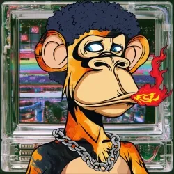 HIPPIE APES DELUXE #2412
